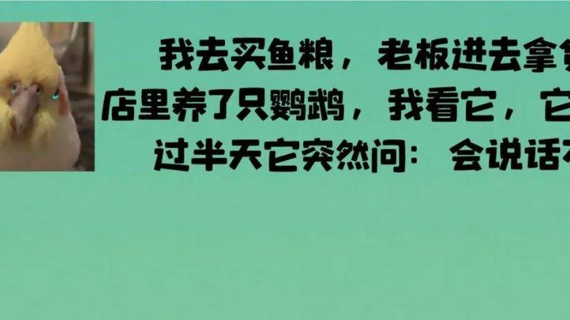 餐饮加盟设备安装流程详解：从规划到验收的全方位解析